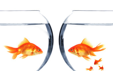 Je refuse le divorce ! Quelles sont mes possibilités ?